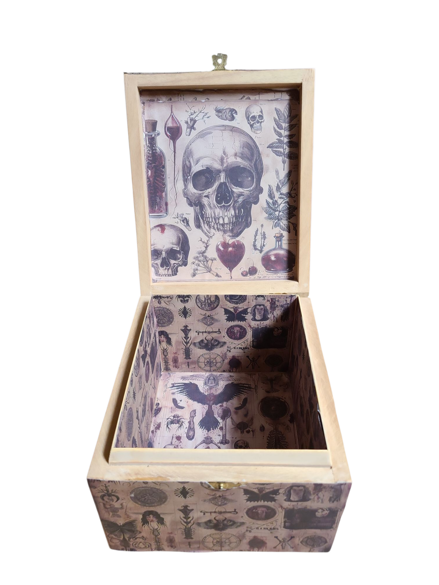 Sepulchra Nocturna- Just the Box