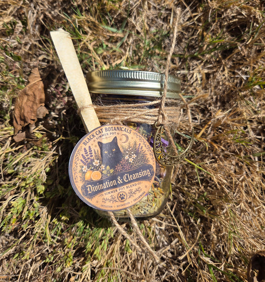 Divination & Cleansing- Simmer Pot