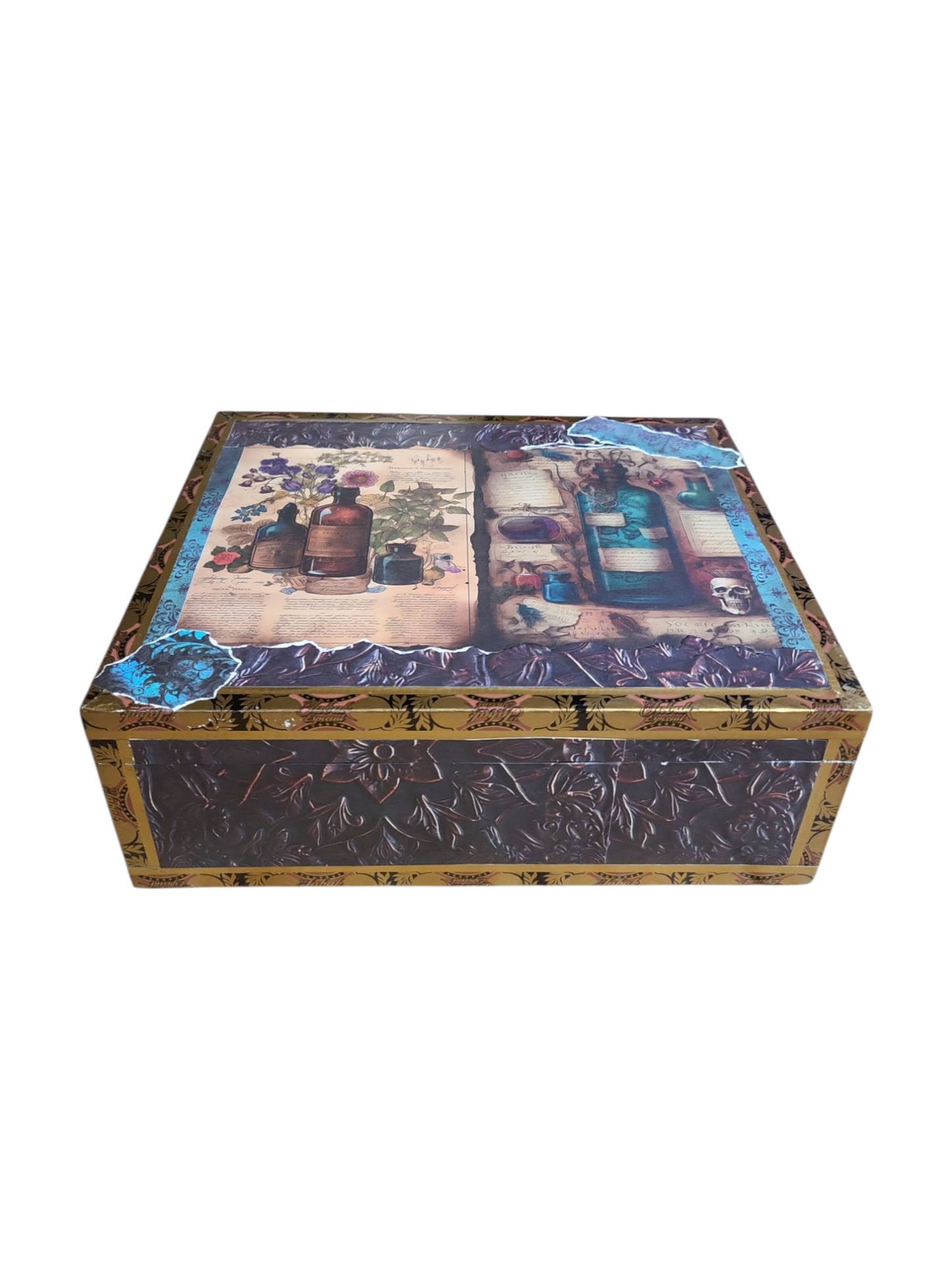 The Cursed Apothecary