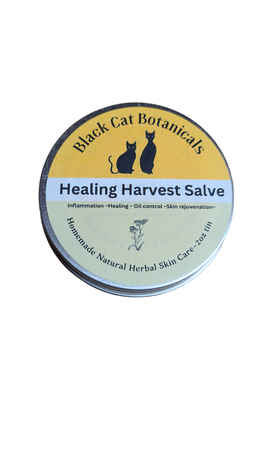 Healing Harvest Salve