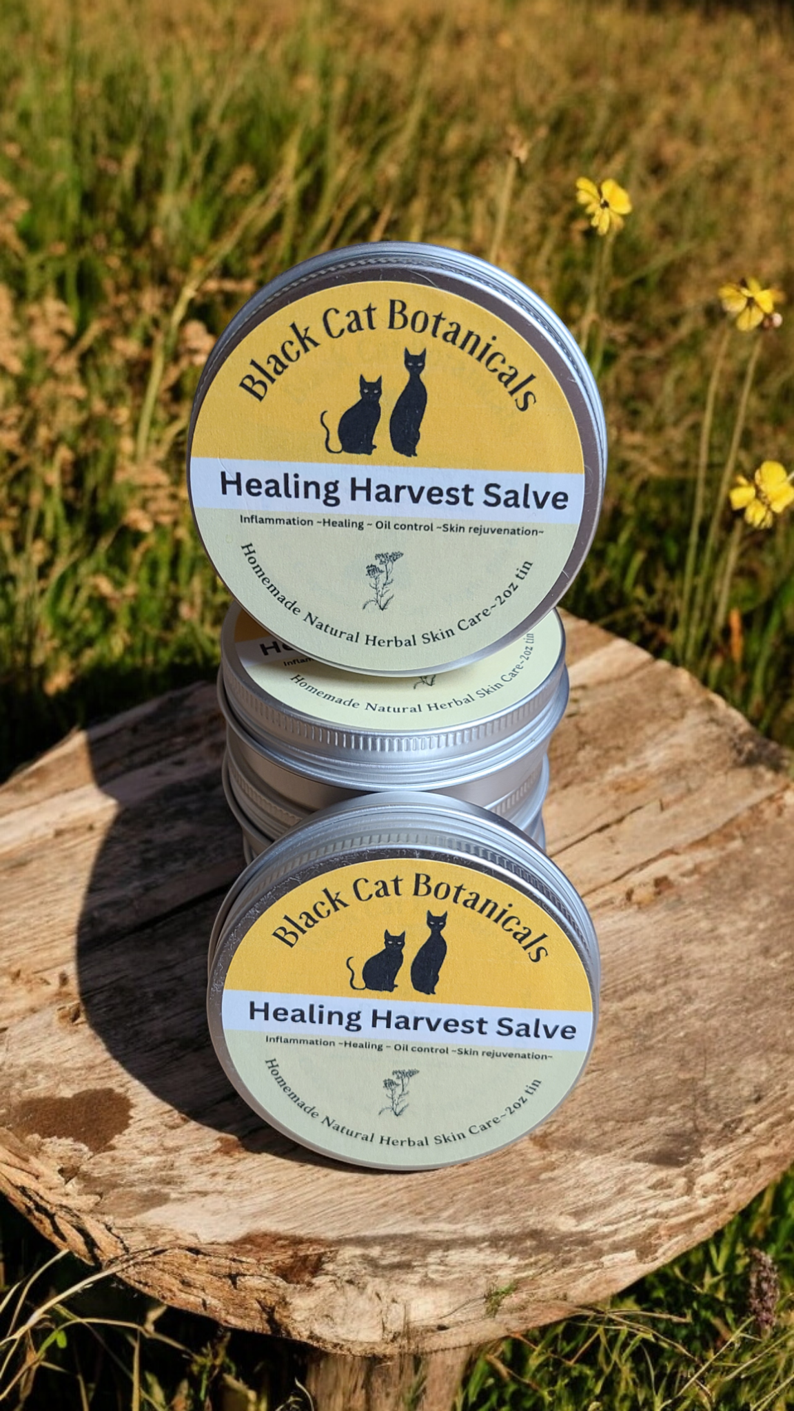 Healing Harvest Salve