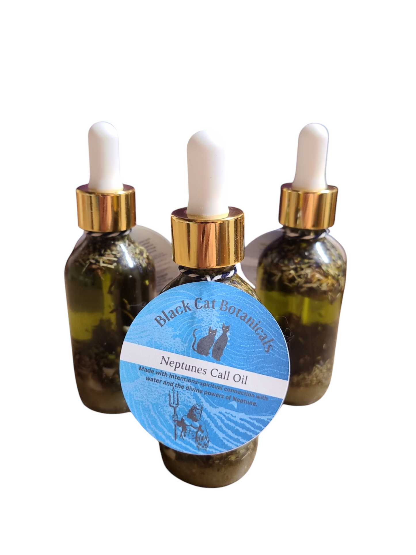 Neptune's Call Intention Oil 2oz